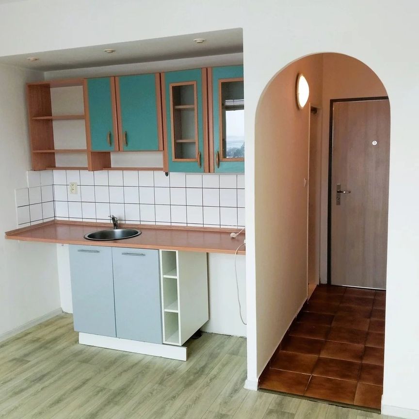 Pronájem bytu 1+kk a garsoniéry 20 m² - Photo 1