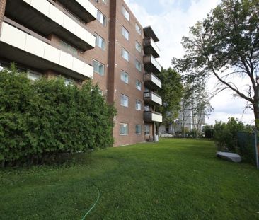 Collingwood Place - Photo 1