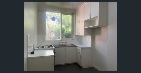 Light Filled 1 BEDROM APARTMENT! - Photo 5