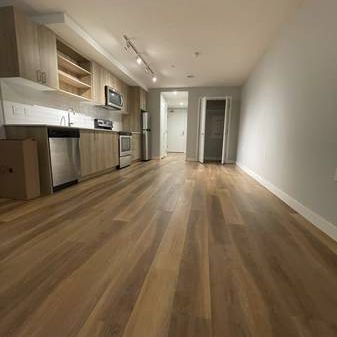 Cat Friendly Studio Apartment for rent (FIRST MONTH FREE) - Photo 3