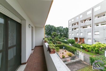 SPINEA – Villaggio dei Fiori (VE) - Photo 2