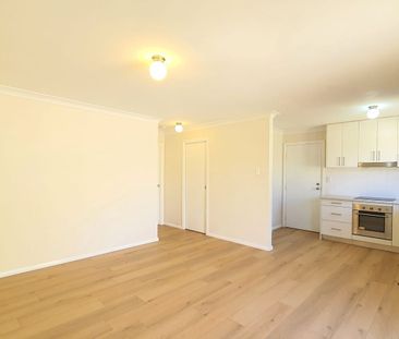 Great Size & Affordable - Photo 6