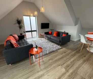 Classic Large Apartment - Photo 2
