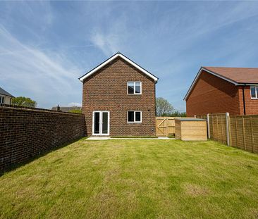 3 bedroom semi-detached house to rent - Photo 3