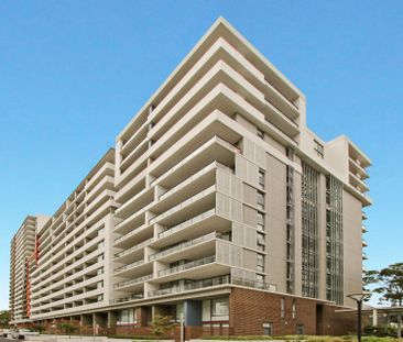 Quiet One Bedroom with Large Balcony & Car Space - Photo 3