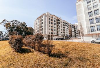 Avenida Madame Curie