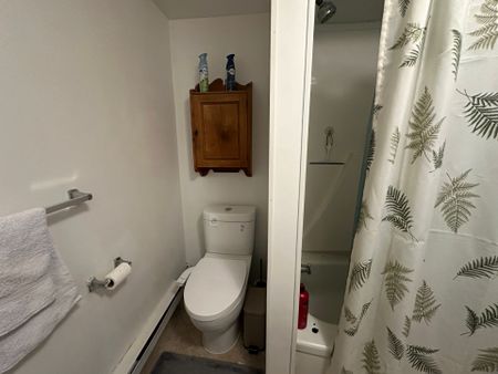 For Lease - 868 Magnolia Avenue, Newmarket, Ontario - Photo 4