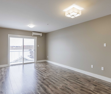 11 Harold Doherty Court - Photo 5