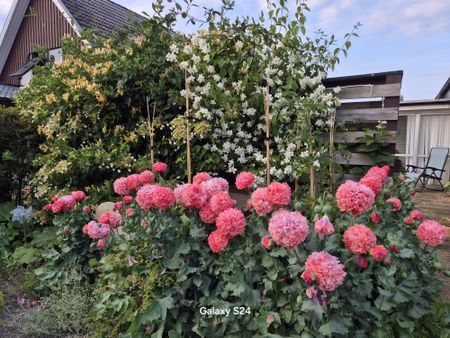 Odlarevägen, Löddeköpinge - Foto 5