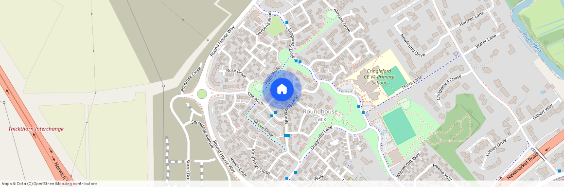 Dunlin Drive, Cringleford NR4