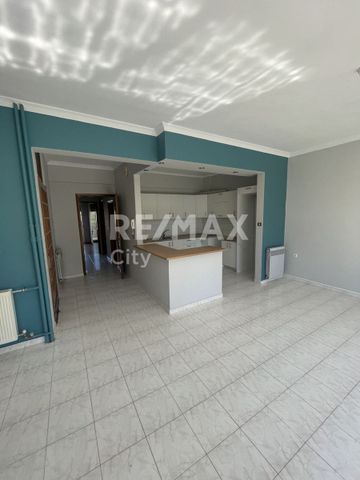 Διαμέρισμα για ενοικίαση Κέντρο (Αλεξανδρούπολη) - Φωτογραφία 5