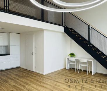 Pronájem SO-HO luxusní loft s předzahrádkou, Praha 7 - Holešovice - Photo 4