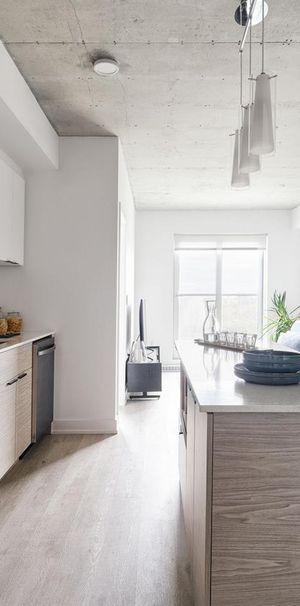 1 Bedroom + Den - 388 Boulevard Saint-Joseph, Gatineau - Photo 1