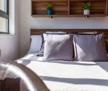 Extra Large Studio - Photo 6