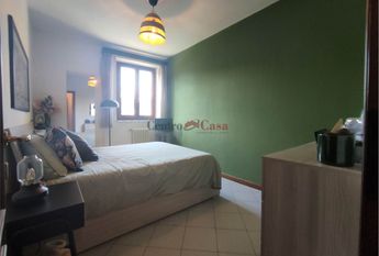 Grazioso tricolare in contesto di corte.