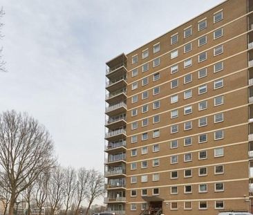Hongarenburg 0ong, 2591 XB Den Haag, Nederland - Foto 1