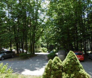 Preußisches Viertel - Helle, gut geschnittene 2-Zimmer-Wohnung mit ... - Photo 1