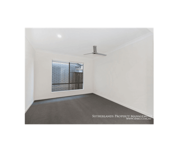 Spacious Family Home - Photo 1