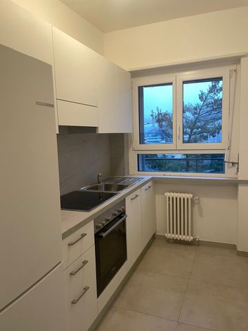 Via al Boschetto 3, 6900, Lugano - Photo 3