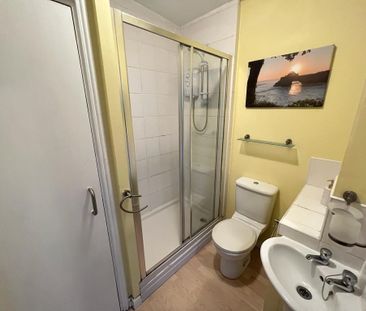 1 bedroom penthouse to rent - Photo 3