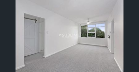 Modern 2 Bedroom Beauty + Garage and Ample Storage! - Photo 5