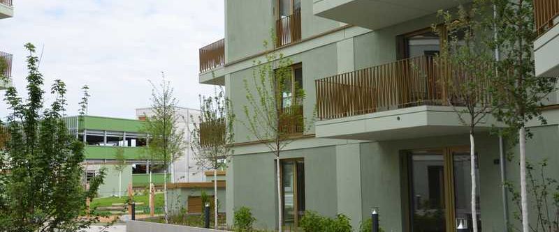 2-ZKB, barrierefrei, Terrasse zum geschützten und begrünten Innenhof - Foto 1