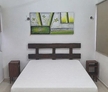 Renta Departamento amueblado en planta alta - Photo 1