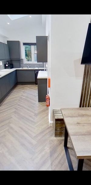 Bedsit, Salisbury Street, NG9 - Photo 2