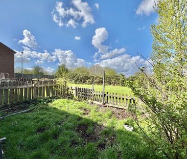3 bedroom House To Let - Photo 6