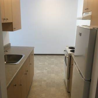 Metrotown | Renovated Bright and Sunny Garden-level 1 Bedroom/1Bath - Photo 3