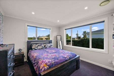 Solid Stobo - Photo 3