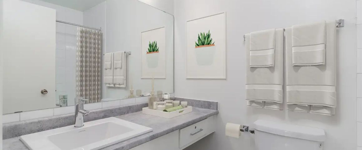 Pinetree Village — 2 Bedroom Basement - Photo 1