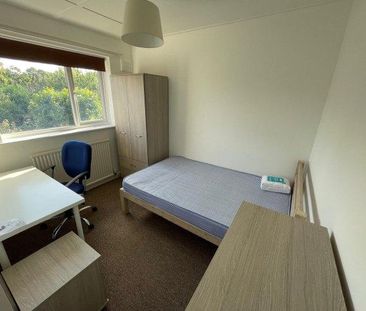 6 bedroom house share to rent - Photo 3