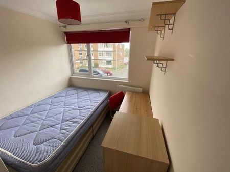 4 bedroom house share to rent - Photo 2