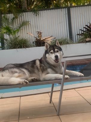 Mooloolaba - Photo 1