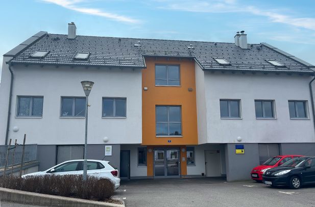 barrierefreie Wohnung in Hoheneich - Foto 1