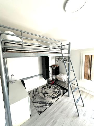 Location Appartement 1 pièce 16m² TOULOUSE 31400 - Photo 2