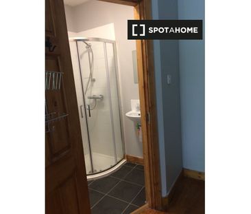 Room for rent in 4-bedroom apartment in Glasnevin, Dublin - Photo 5