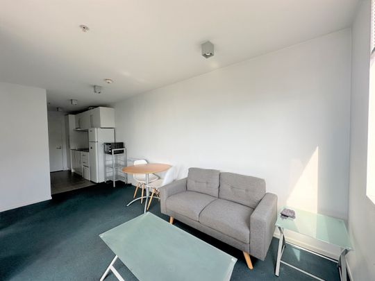 Centrally located Fully Furnished 1 bedroom apartment - Photo 1