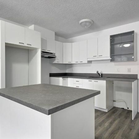 Appartement 4 ½ à louer Sainte-Foy / Sillery avril 2026 - Photo 4