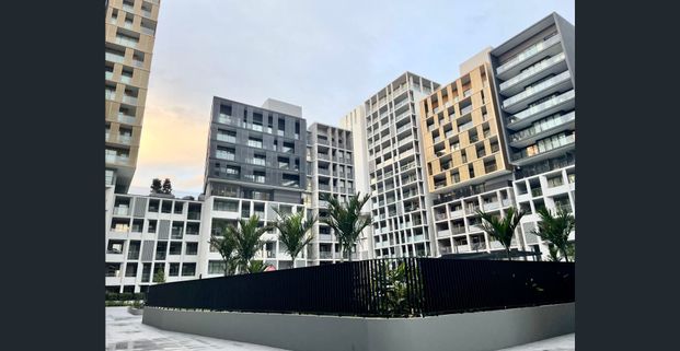 2 Bed Room APT for Rent - Photo 1