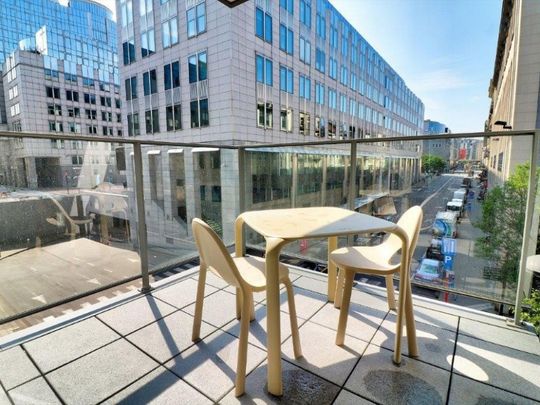IXELLES : PLACE LUX - MEUBLE 2 CHAMBRES, TERRASSE - Ixelles - Photo 1