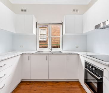 13 Robert Street, Canterbury NSW 2193 - House For Rent | Domain - Photo 3