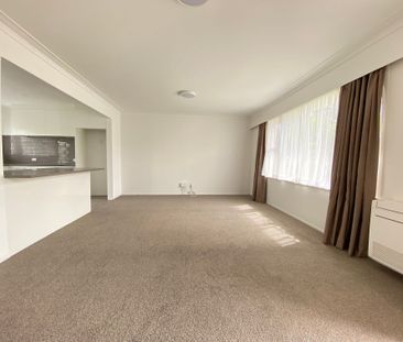 Newly Renovated unit on Rawhiti Road - Photo 4