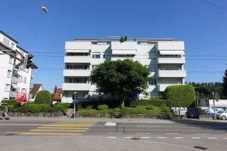 Stadtwohnung im Maihofquartier mit Blick ins Grüne - Photo 2