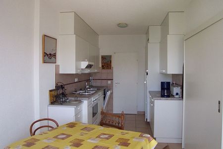 4-Zimmer-Attikawohnung, durchgehend, ruhig, Plan-les-Ouates - Photo 5