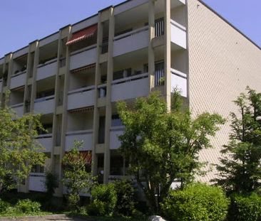 1.5 Zimmer, 39 m², EG - Foto 4