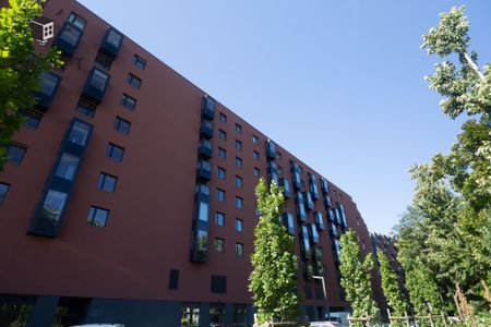 2pok I Business Garden I Pixel House | CH Magnolia - Zdjęcie 5