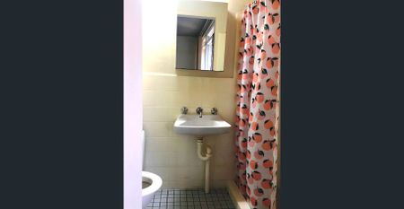 FURNISHED STUDIO in Glebe – security, balcony, roof pool, BBQ, sauna - Photo 2