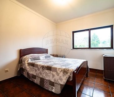 Moradia T4 em Coimbra - Photo 5